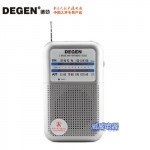 ĐÀI RADIO MINI DEGEN DE-333