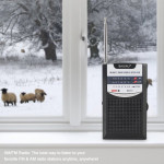 ĐÀI RADIO FM MINI BAIJIALI KK-13